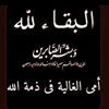 user4549383557954