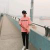 .pinsc.ali