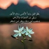 narges_n_