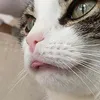 loli.pop_vlogs_