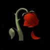 silentdarkness75
