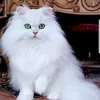 souadhfp2d3