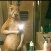 user1616855135806