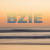 shop_bzie