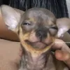 lau_vitoria17