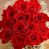 fatimesh3