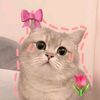 wh0_mild4luv