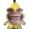 jastinemarkrumbau