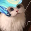 siuuuuuanh7oi