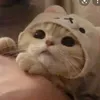 leafsweat