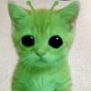 hehehe_cat_alien