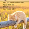 vohuynh2727