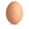 brown._.egg