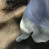 jeppepro69