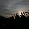maangg_9