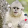 dineshrai635