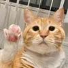 neko.nuko2