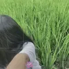 phuongcuti.8