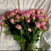 user42tut4c996