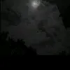 hh_hjhj7