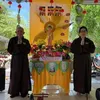 vandamtruong456