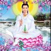 buddha600yahoo.com