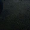 betran_91