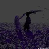 .karar775