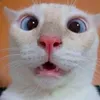 peter_smir