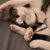 ethandudgeon1