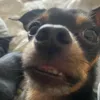 erikaspx