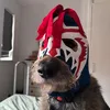 mumskibearsmith
