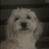 .kbizz