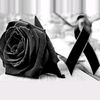 junioromar29
