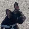 bettyfrenchgurl