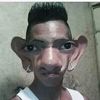 estimado_1239