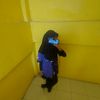 _imelda041
