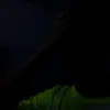 t_iraq_1
