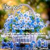 user7162170600939