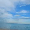 user257xod2mvd