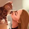 catoozada3