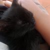 q_hago_.ayuda38_