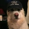 winniethemarco