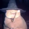 masha_121011