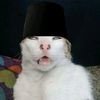 fatharaatar