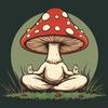 Meditations with Mushrooms