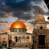 walid_tarhouna