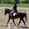 eli_horse07