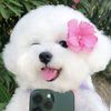 cutiepawsss