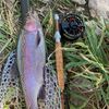 runner_376trout